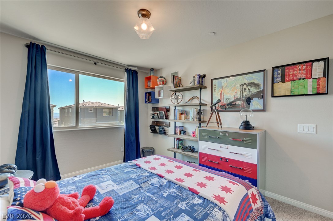 373 Purple Sandpiper Street Property Photo 53
