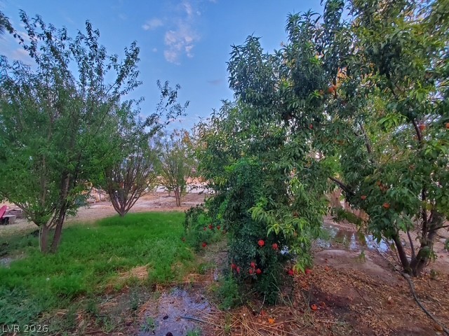 980 West Leffner Drive Property Photo 22