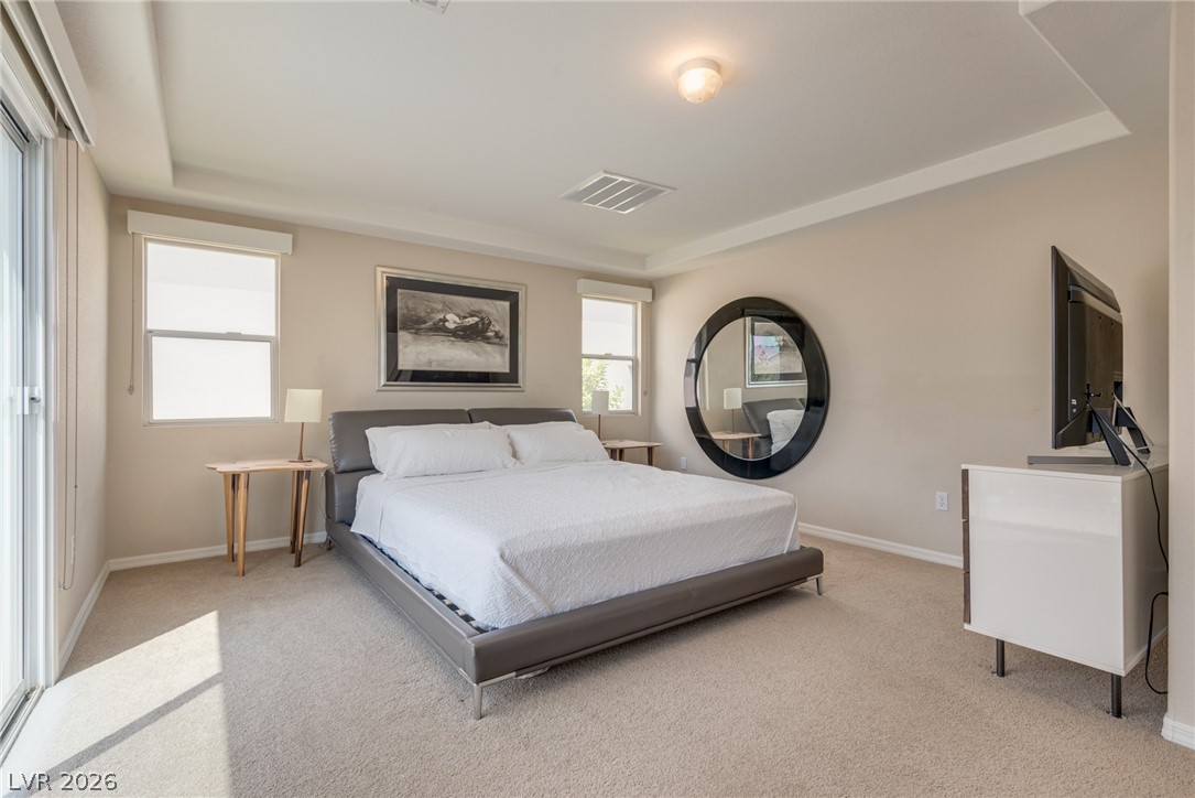 11425 Via Spiga Drive Property Photo 46