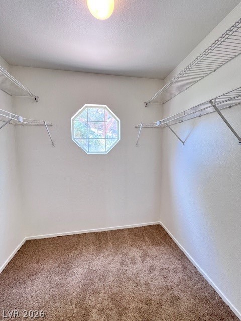 3459 Blue Heather Drive Property Photo 16