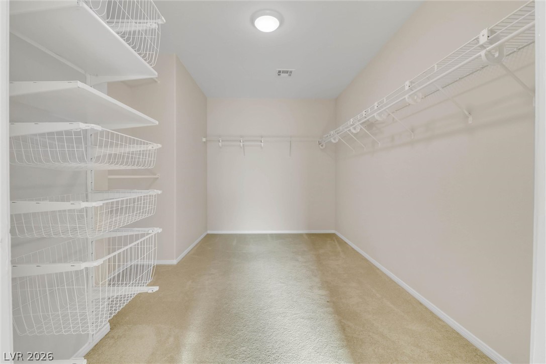 6768 Pastel Camellia Street Property Photo 29