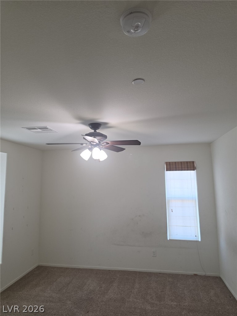329 Homeward Way Property Photo 11