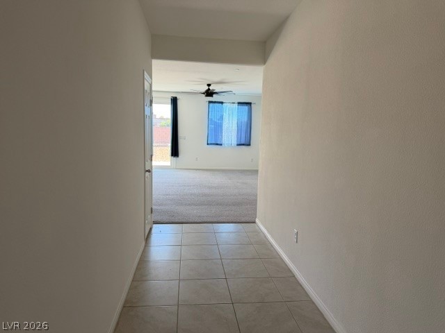411 Hellebores Avenue Property Photo 3