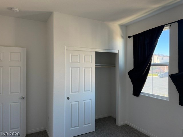 411 Hellebores Avenue Property Photo 4