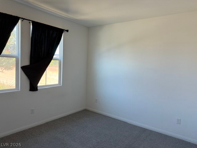 411 Hellebores Avenue Property Photo 5