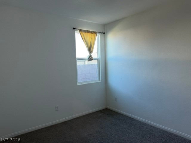 411 Hellebores Avenue Property Photo 8