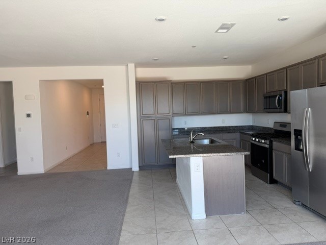 411 Hellebores Avenue Property Photo 11