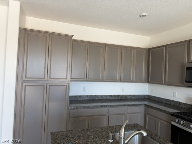 411 Hellebores Avenue Property Photo 14