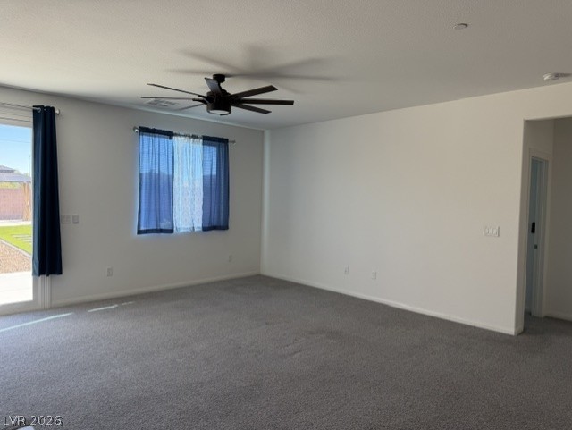 411 Hellebores Avenue Property Photo 15
