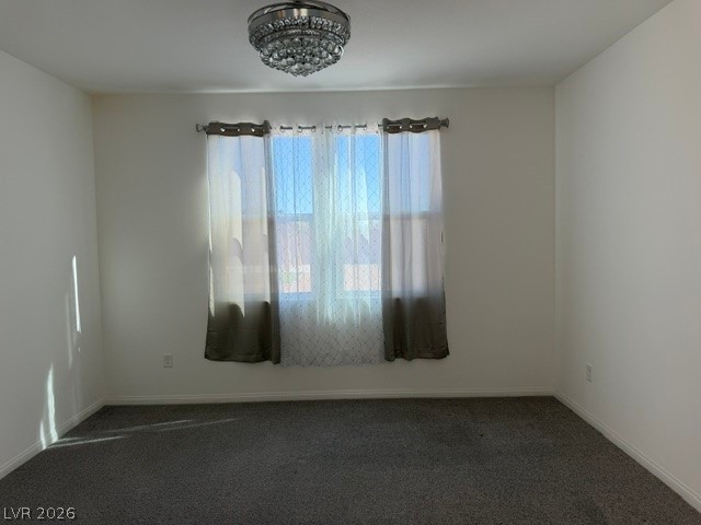 411 Hellebores Avenue Property Photo 17