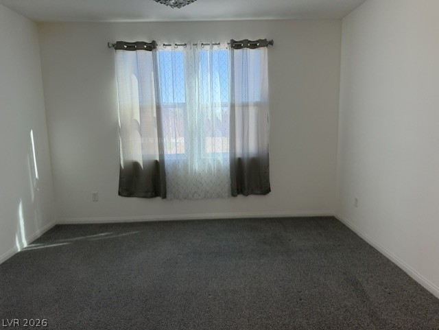 411 Hellebores Avenue Property Photo 18