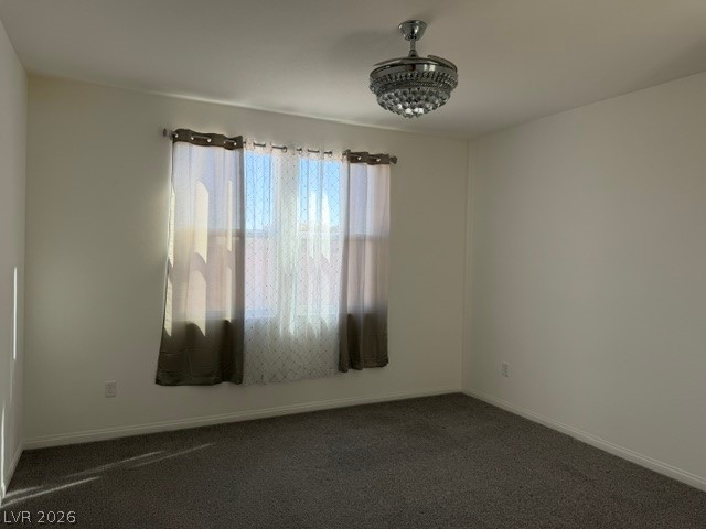 411 Hellebores Avenue Property Photo 19