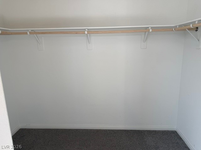 411 Hellebores Avenue Property Photo 22
