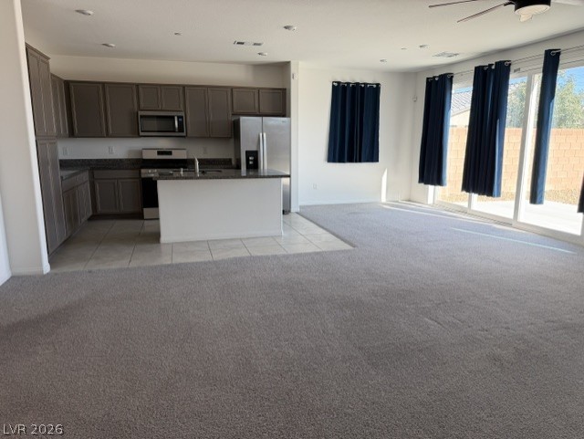 411 Hellebores Avenue Property Photo 24