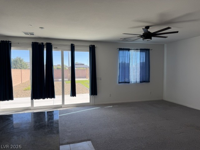 411 Hellebores Avenue Property Photo 25