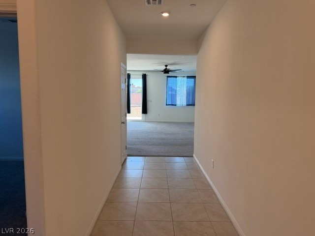 411 Hellebores Avenue Property Photo 30