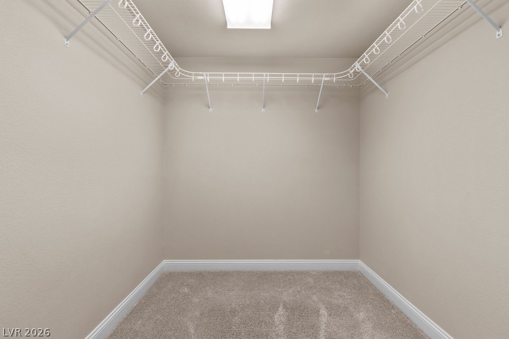 9253 Briggs Hill Court Property Photo 31