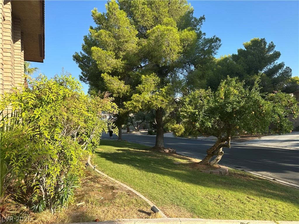 2840 Augusta Drive Property Photo 34