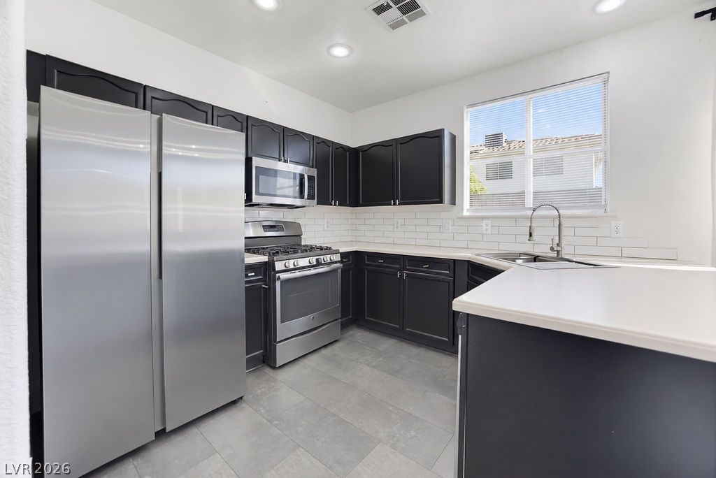 1079 Country Skies Avenue Property Photo 18