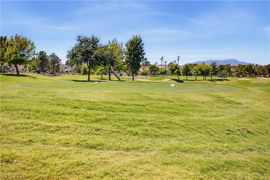 8166 Round Hills Circle Property Photo 45