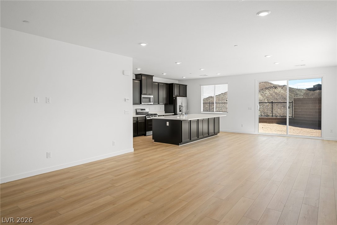 1670 Capri Falls Court Property Photo 3
