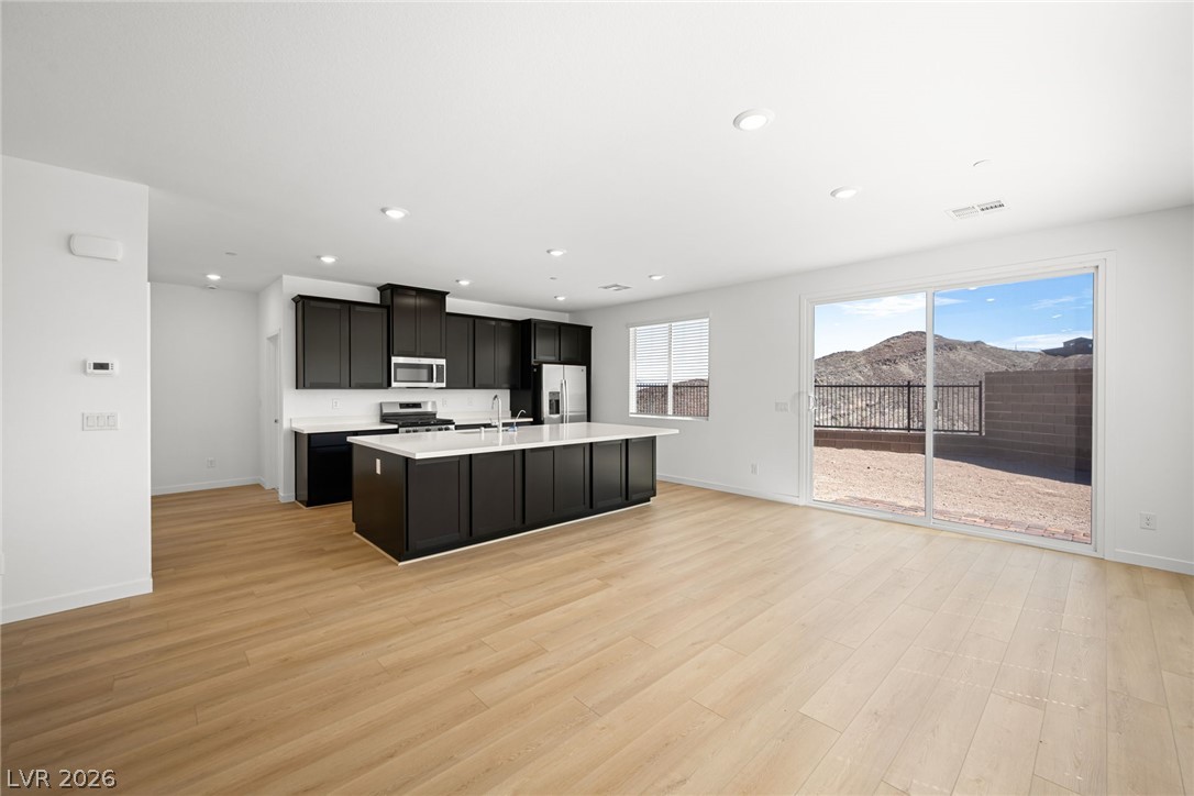 1670 Capri Falls Court Property Photo 4