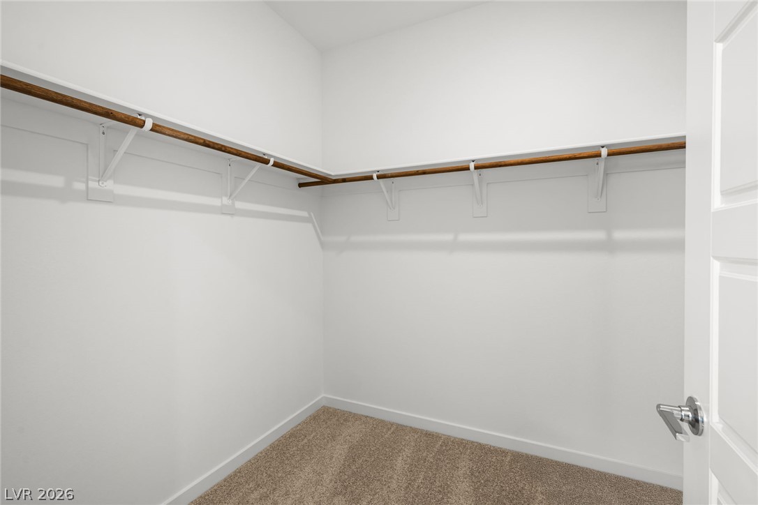 1670 Capri Falls Court Property Photo 14