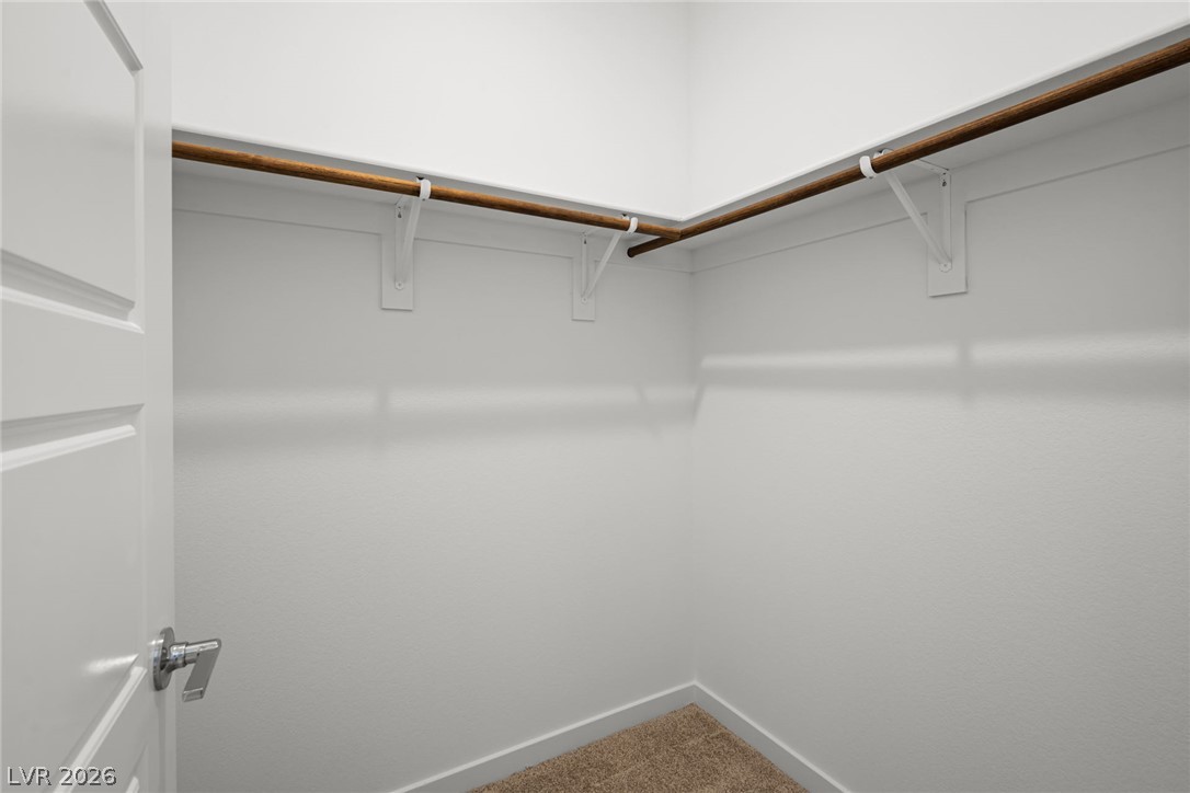 1670 Capri Falls Court Property Photo 18