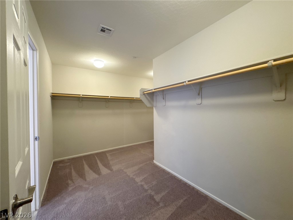 6132 Scarlet Leaf Street Property Photo 29