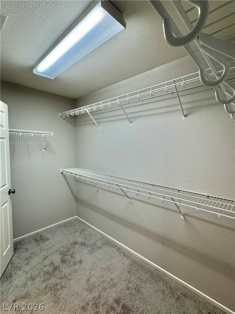 8344 Rose Quartz Court Property Photo 28