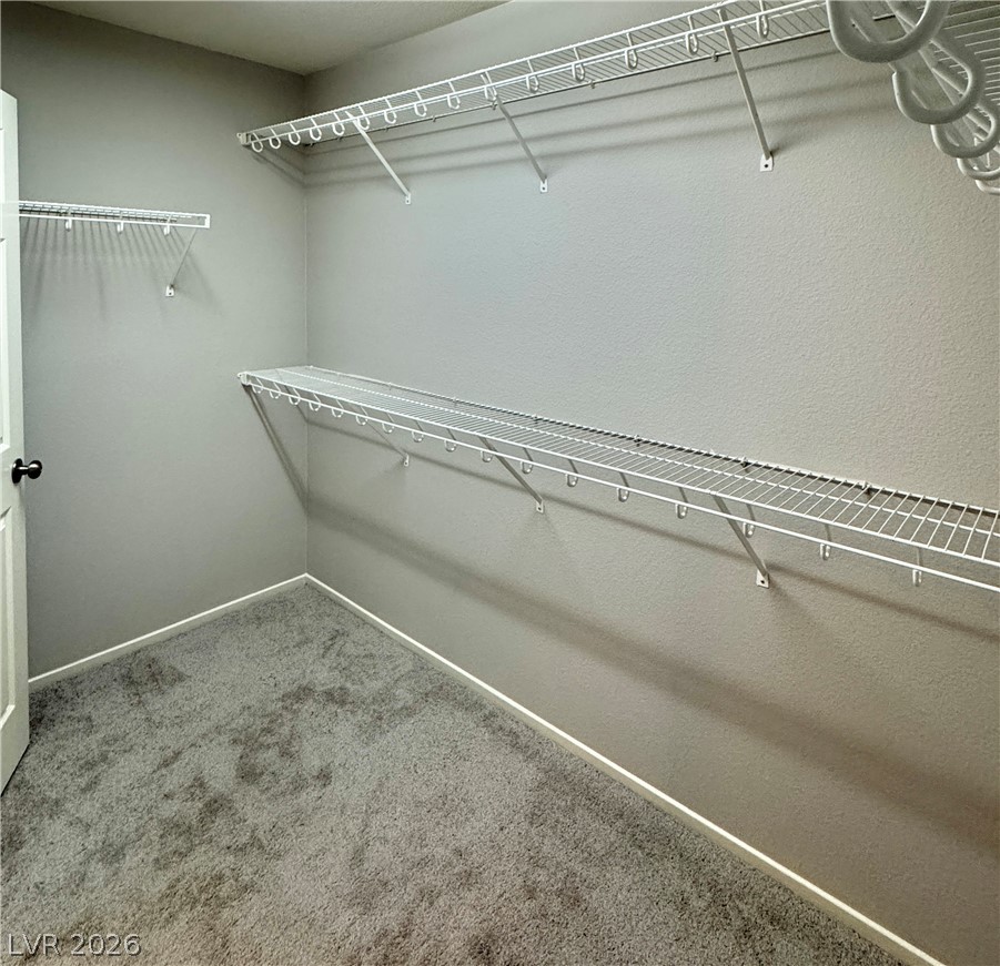 8344 Rose Quartz Court Property Photo 29