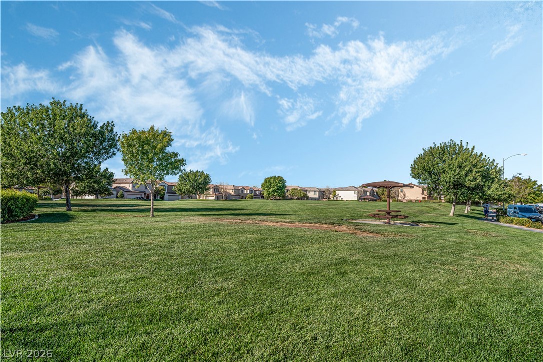 6335 Blushing Willow Street Property Photo 32