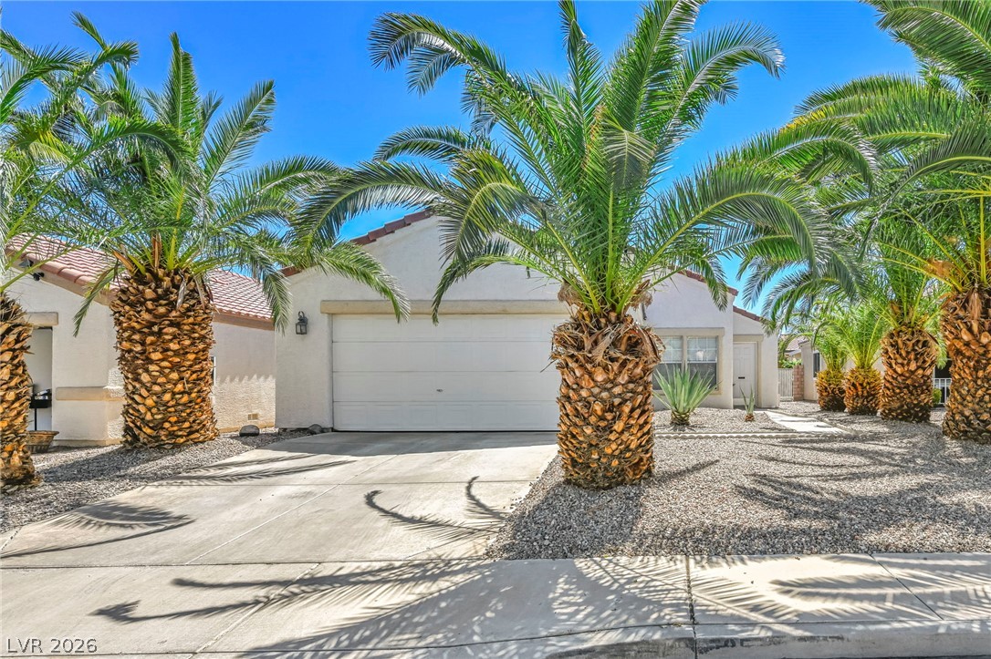 705 Salt Flats Circle Property Photo 1