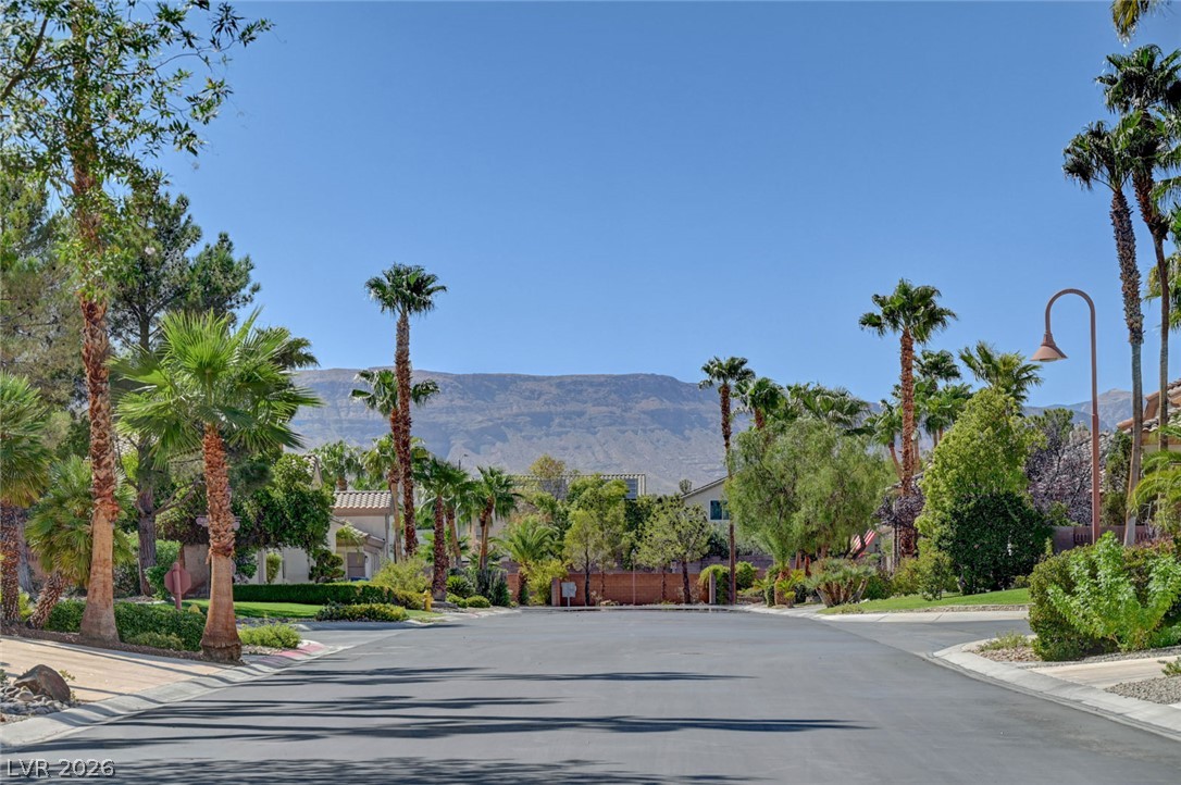 9508 Los Cotos Court Property Photo 75