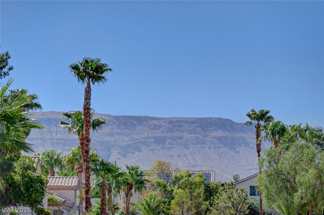 9508 Los Cotos Court Property Photo 76