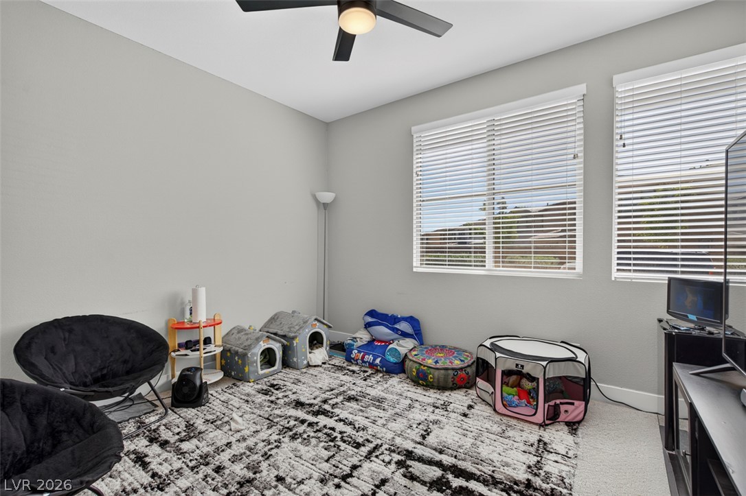 6849 Desert Finch Street Property Photo 28