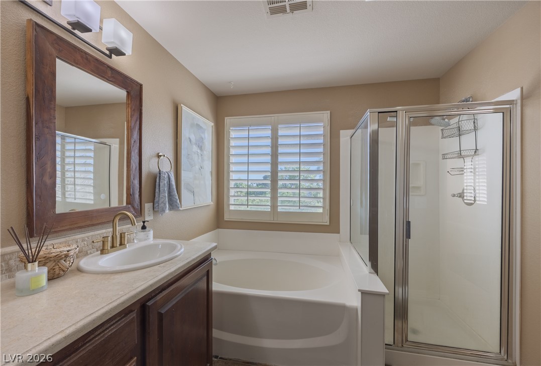 8945 Rudica Creek Avenue Property Photo 61