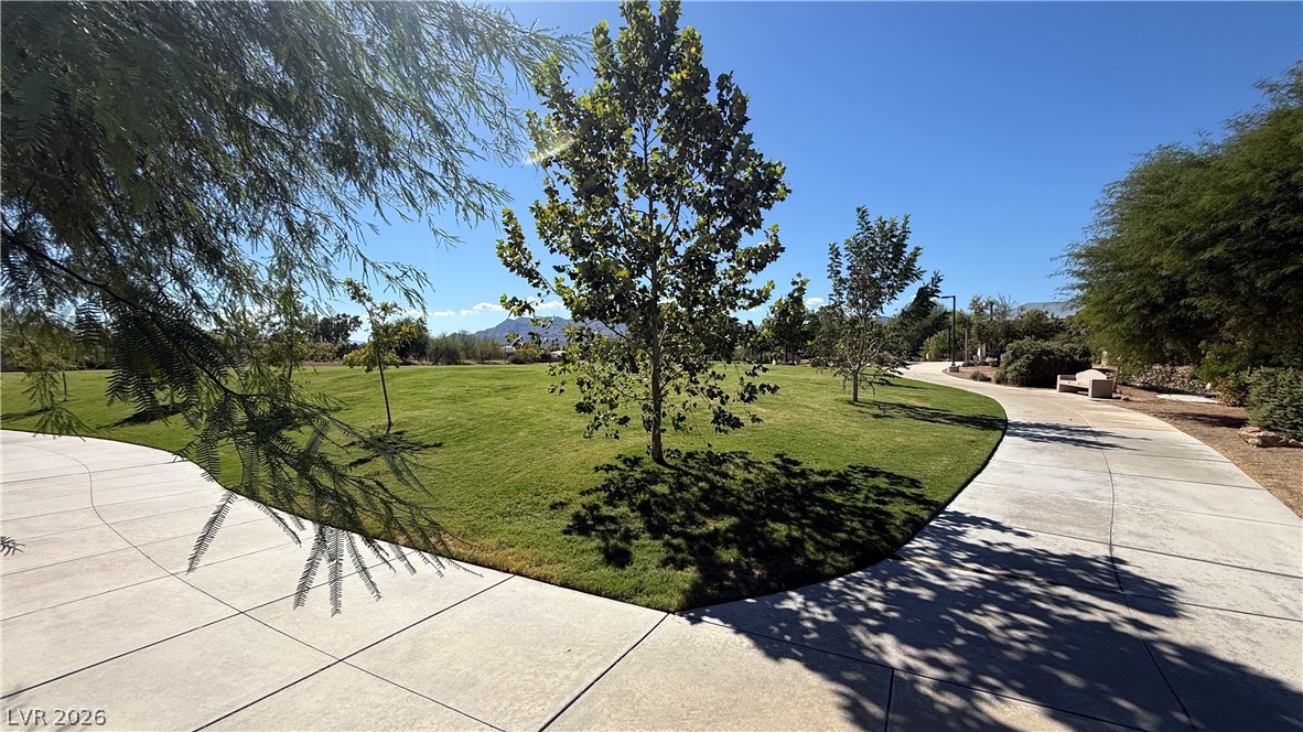 8945 Rudica Creek Avenue Property Photo 84