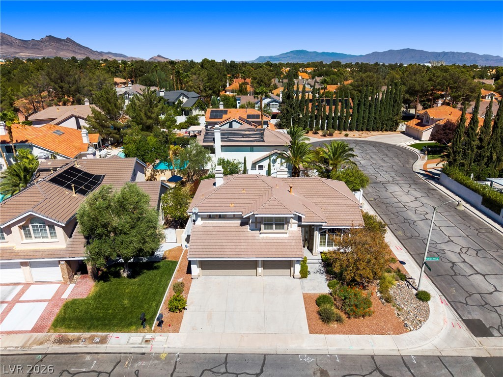 9728 Stellar View Avenue Property Photo 43