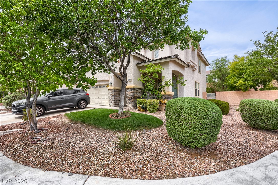 10768 Passion Vine Court Property Photo 3