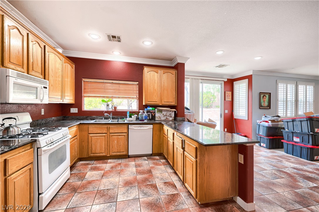 10768 Passion Vine Court Property Photo 9