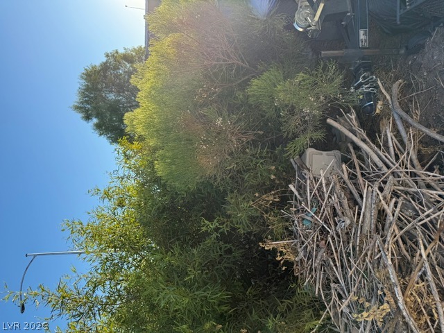1512 Patrick Lane Property Photo 51