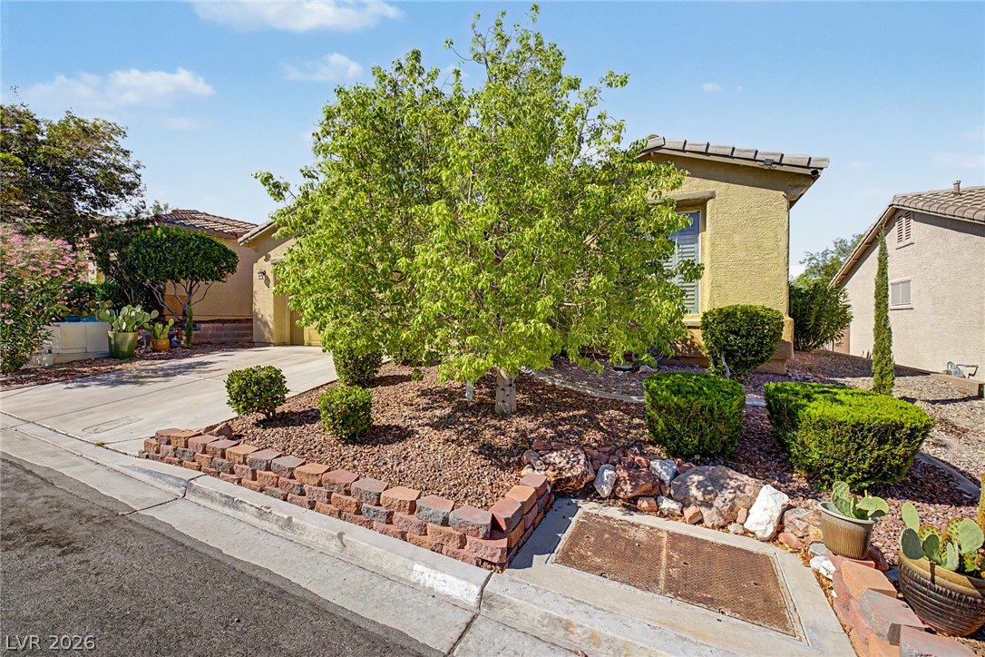 10512 Courtney Cove Avenue Property Photo 6
