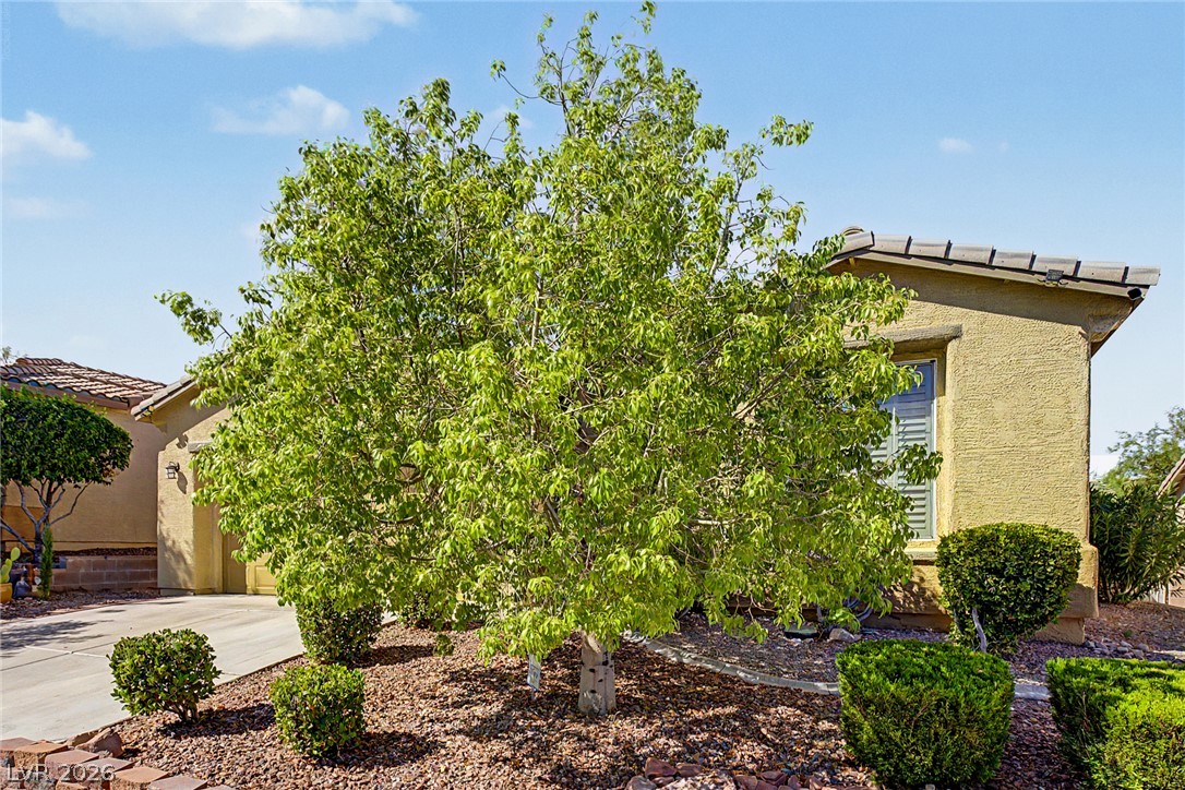 10512 Courtney Cove Avenue Property Photo 7