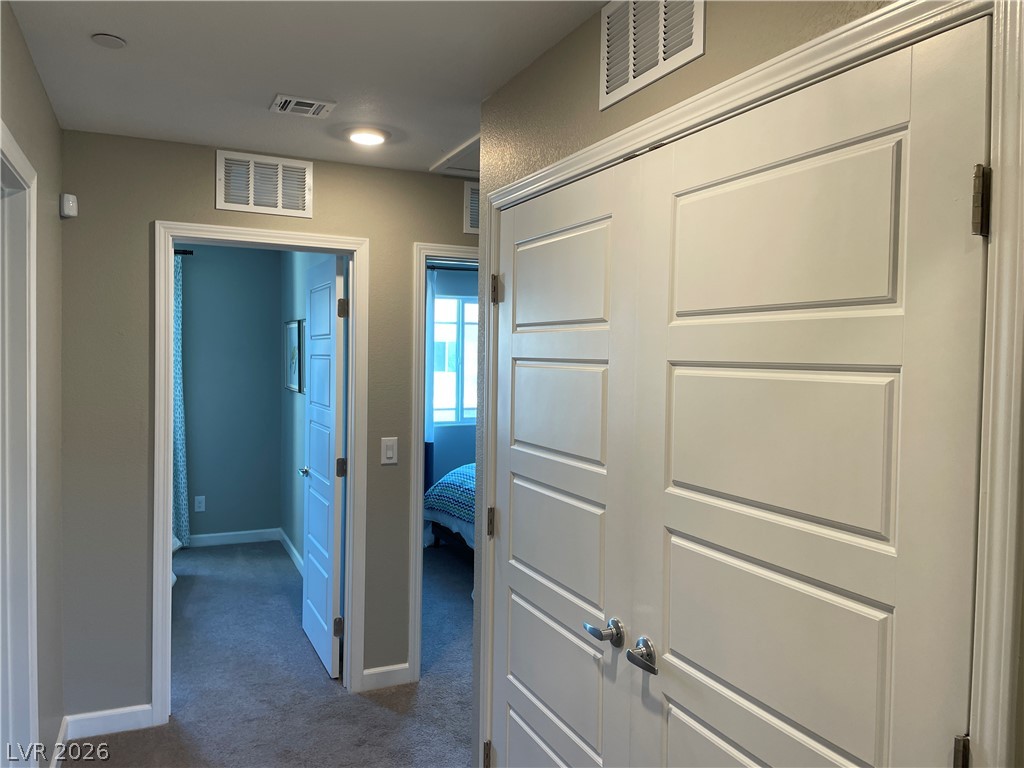 3538 Alpheus River Avenue Property Photo 28