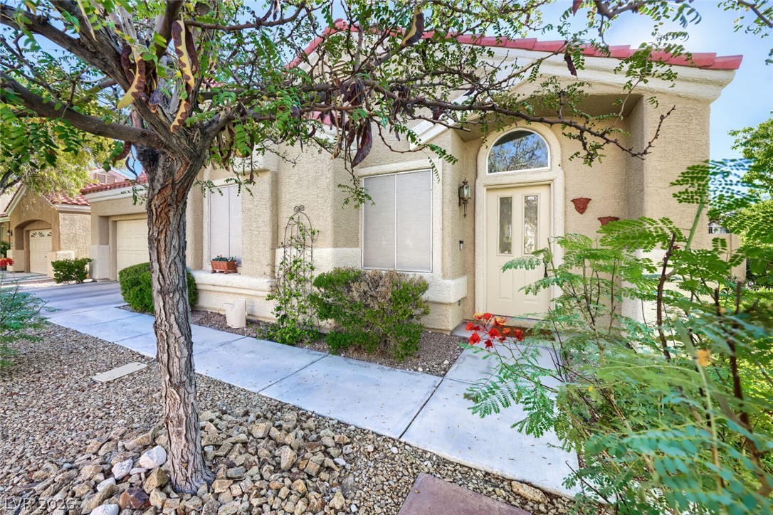 1620 Shadow Dancer Street Property Photo 3