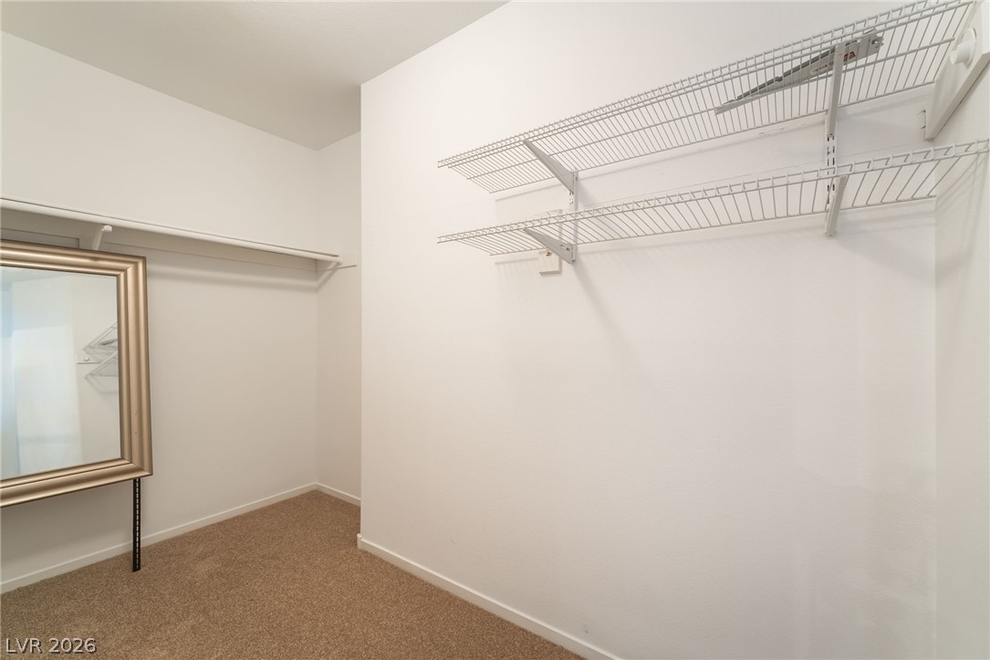 884 Sweeping Vine Avenue Property Photo 23