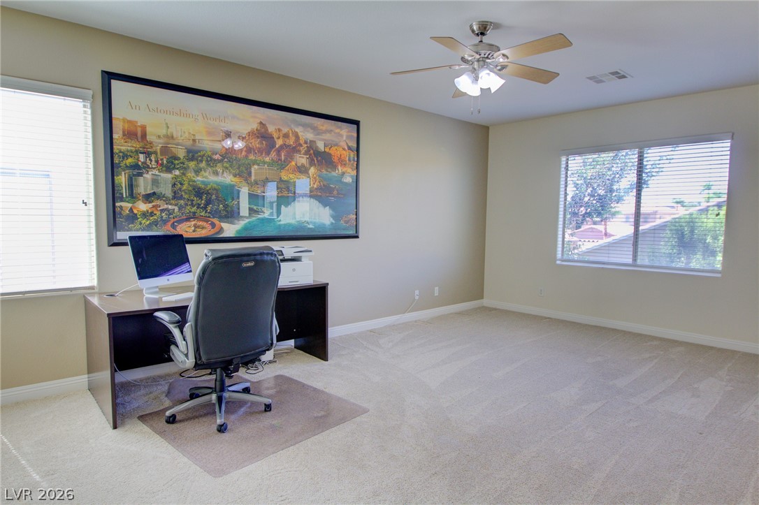 8925 Monte Oro Drive Property Photo 43