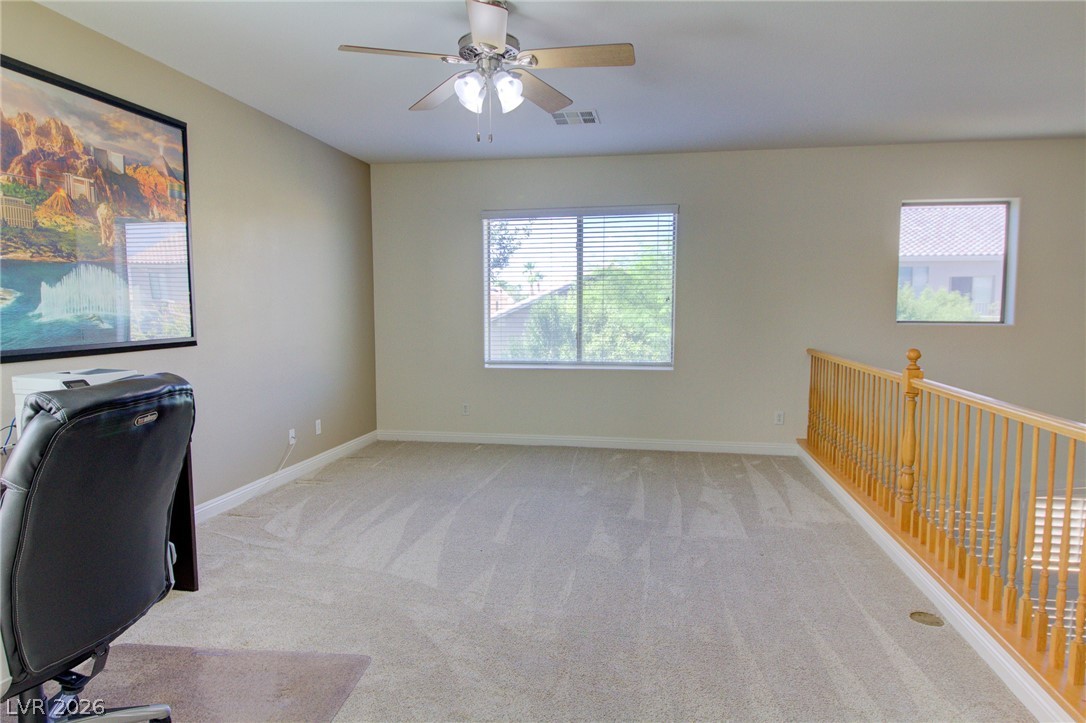 8925 Monte Oro Drive Property Photo 44
