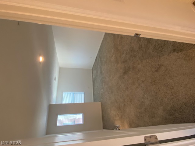 12238 Plum Mist Court 1 Property Photo 23